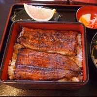うなぎ