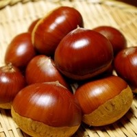 栗