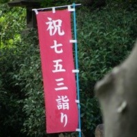 七五三